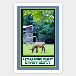 Vintage Travel Cataloochee Elk Sticker